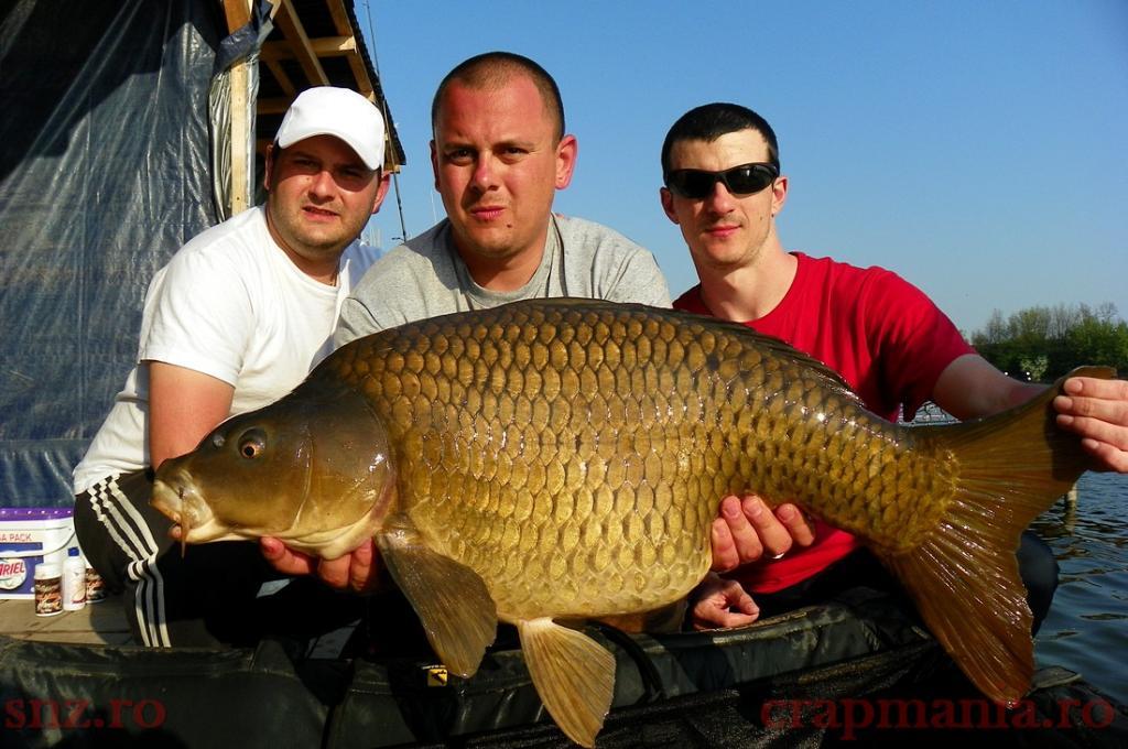 Trofeul tancabesti 2013 - 1012349.jpg